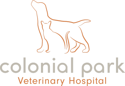 Park veterinary hot sale hospital