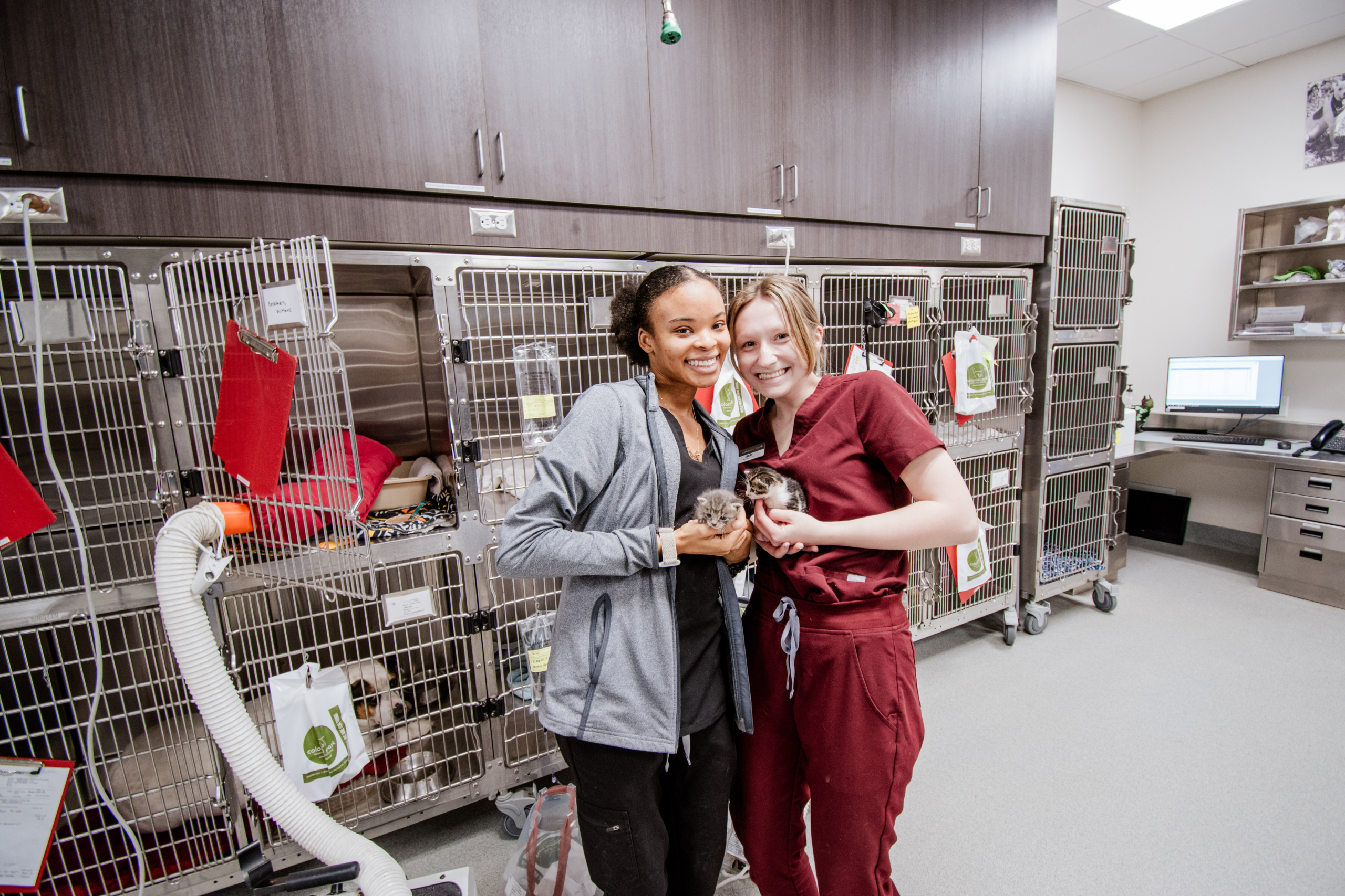 Two female veterinarians holding small kittens at Colonial Park Veterinary Hospital